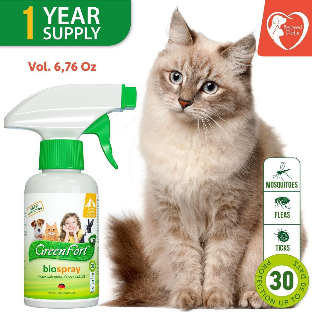 Natural Flea and Tick Spray for Dogs & Cats