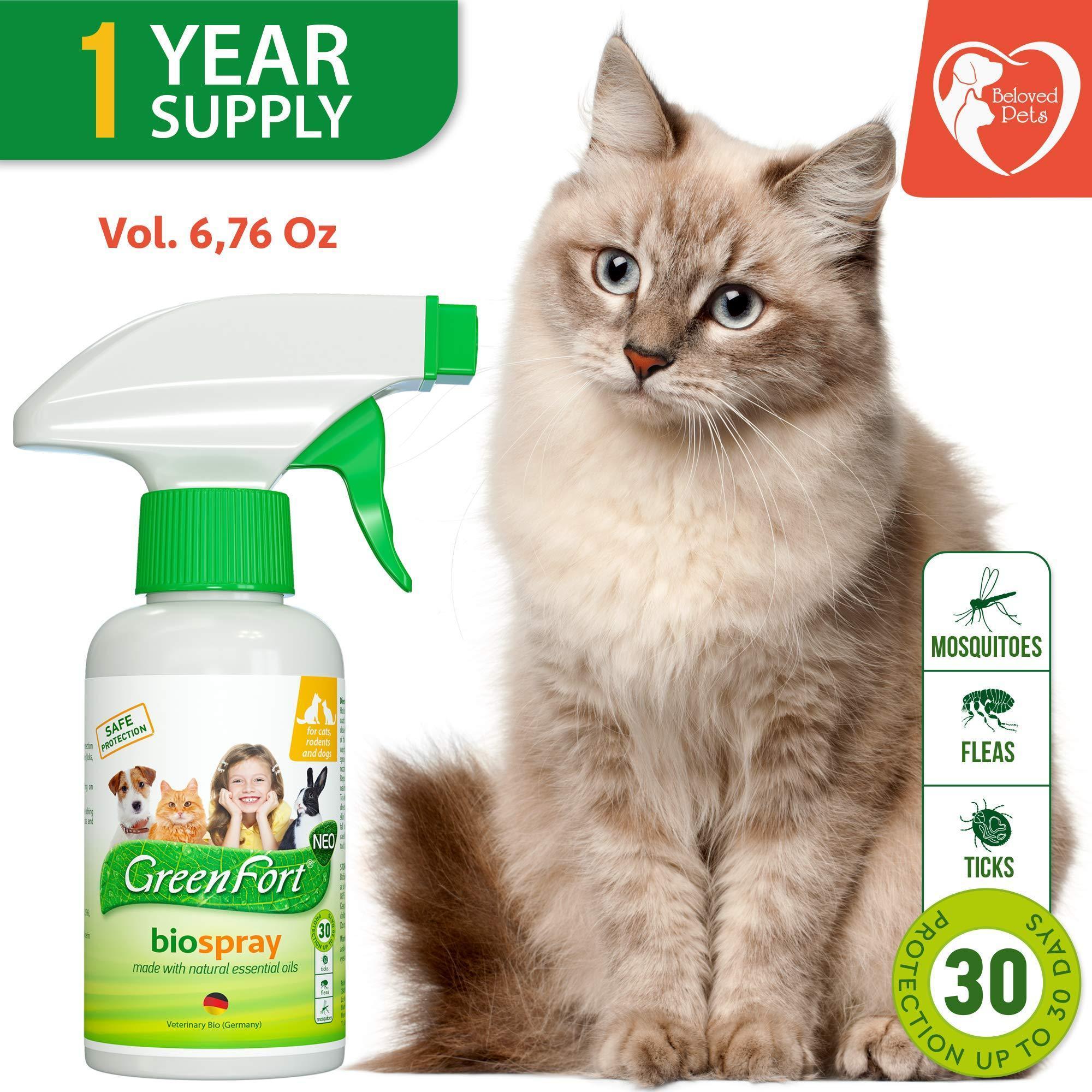 Natural Flea and Tick Spray for Dogs & Cats